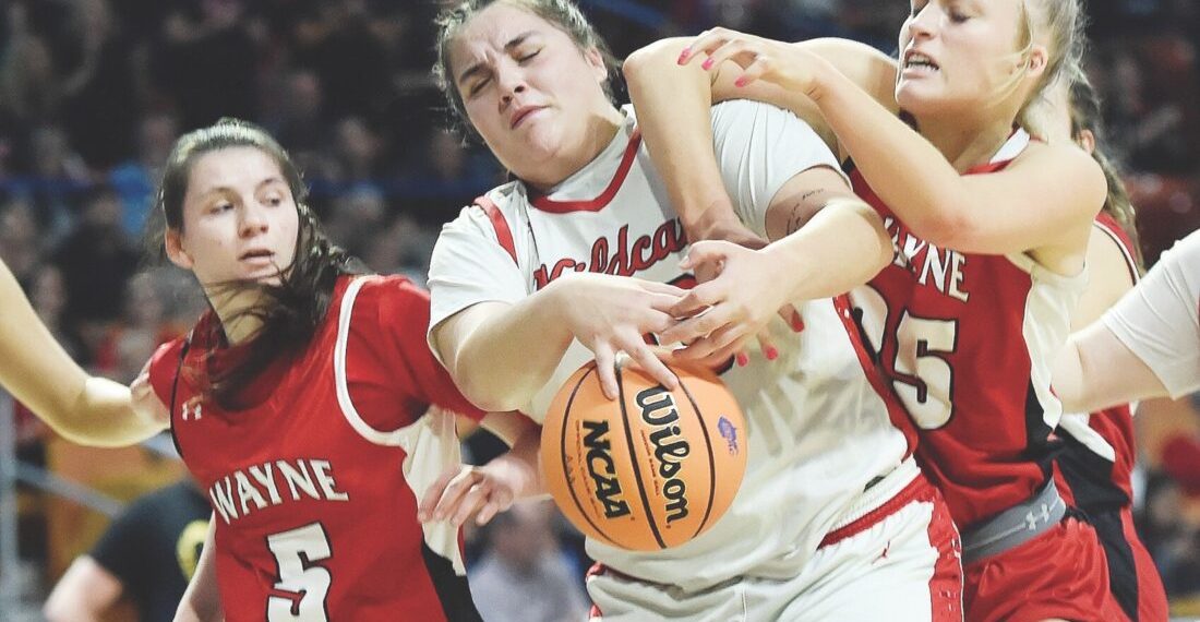 Natalie Smith from Nitro known as Triple-A all-state Captain | Information, sports activities, jobs