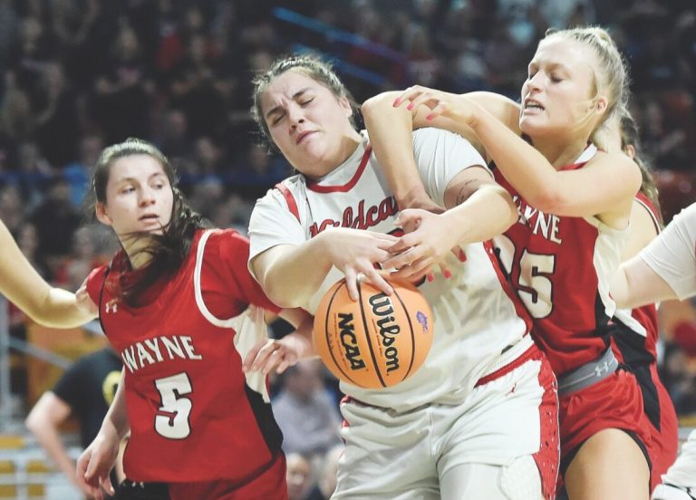 Natalie Smith from Nitro known as Triple-A all-state Captain | Information, sports activities, jobs