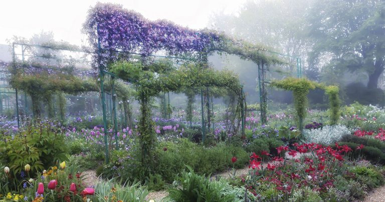 Aileen Bordman surprises Claude Monet’s Gardens for the Leila Heller gallery exhibition