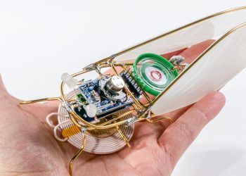 Anne Niemetz’s digital bugs orchestra composes sound set up