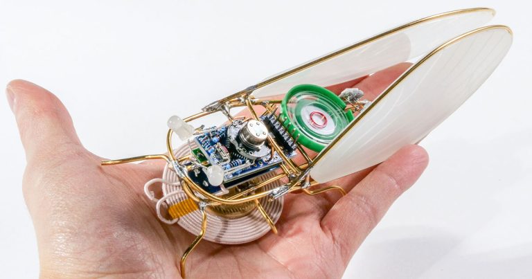 Anne Niemetz’s digital bugs orchestra composes sound set up