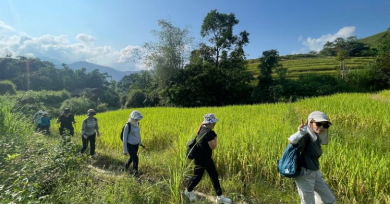 Thailand, Vietnam, Cambodia, and Bali Lead Asia Journey Offers’ Unique Summer time Journey Packages Showcasing Southeast Asia’s Finest Locations