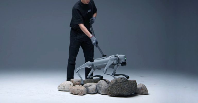 The autonomous robotic canine, the moon, learns tips on how to transfer on their very own