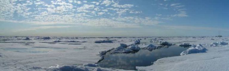 Arctic & Antarctic Tourism Growth: How one can Journey Responsibly & Shield Fragile Ecosystems