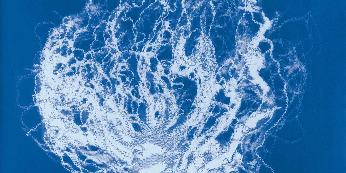 Mandy Barker’s cyanotypes revive a ebook of pioneering botanist to warn about artificial stays – Colossal