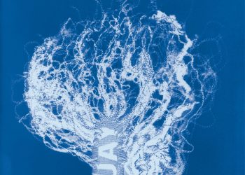 Mandy Barker’s cyanotypes revive a ebook of pioneering botanist to warn about artificial stays – Colossal