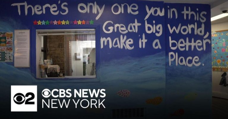 Medicaid cuts in New York would harm autism providers, well being care facilities say