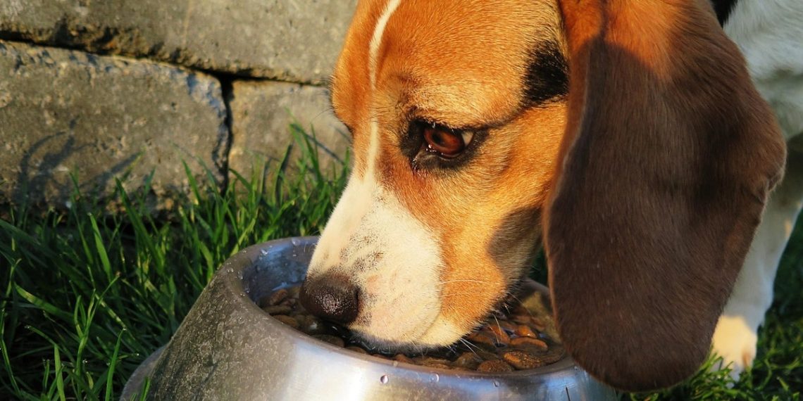 Research: HPP preserves vitamins, extends shelf life