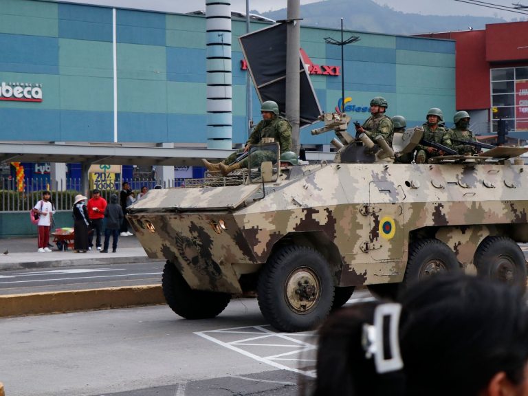 Daniel Noboa desires the US Military, Brazil and Europe for the “combat in opposition to crime”