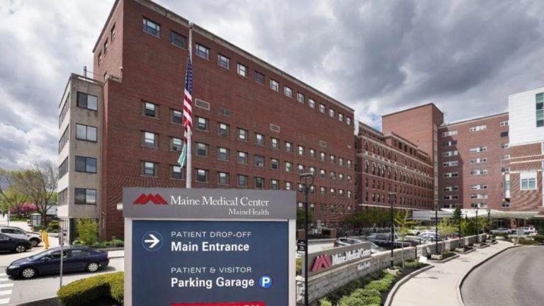 Maine well being suppliers cautious, optimistic about AI use