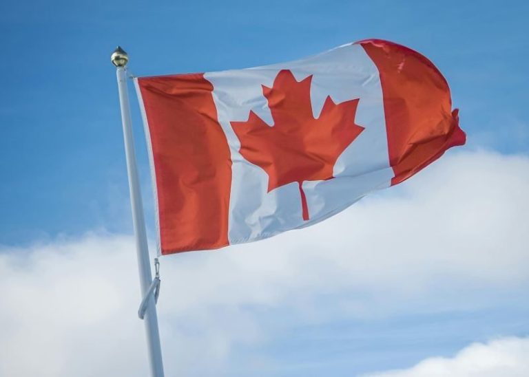 European nations, Canada replace journey advisories amid US immigration crackdown