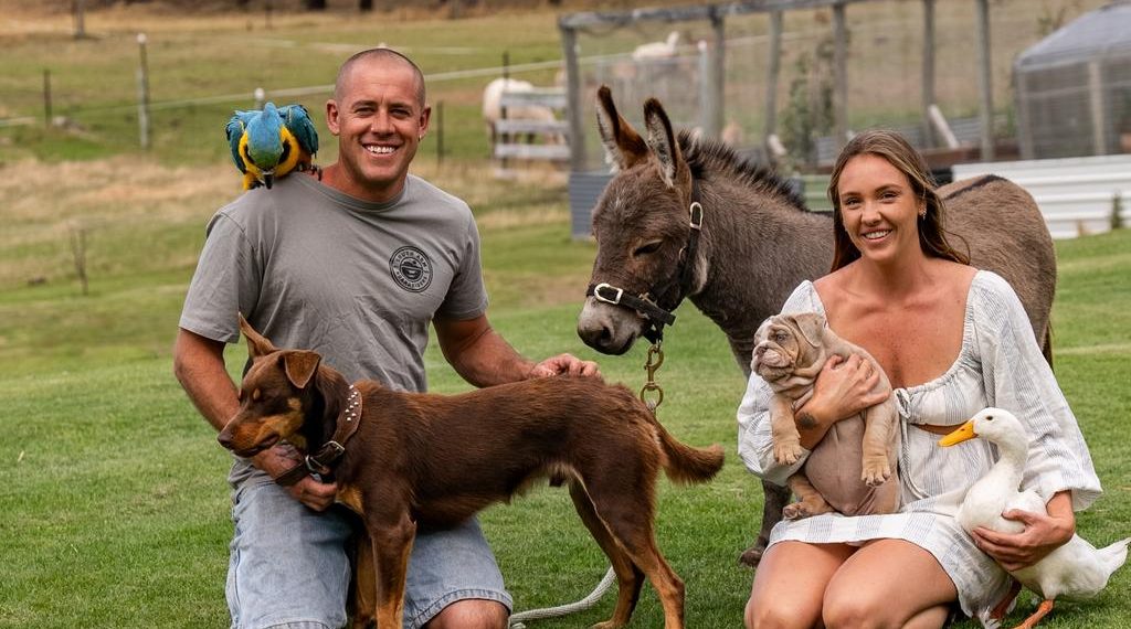 Luxe way of life: Pool, deer farm and a dream storage