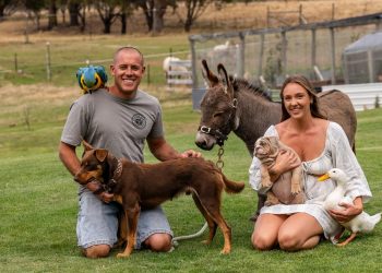 Luxe way of life: Pool, deer farm and a dream storage