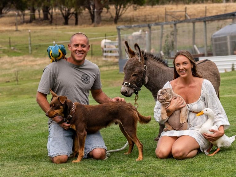 Luxe way of life: Pool, deer farm and a dream storage