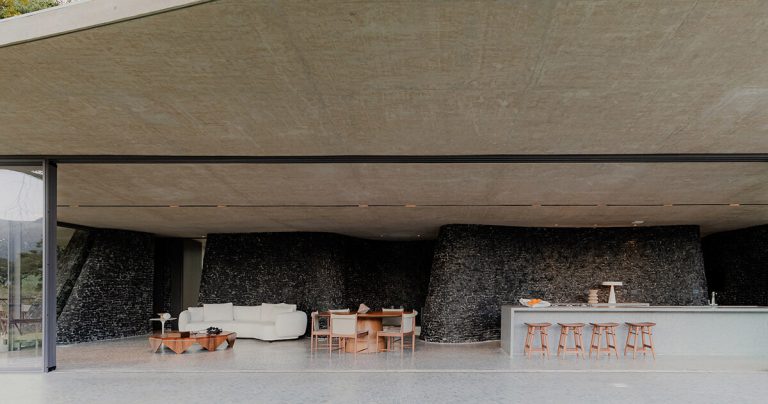 Tetro calls the “Seriema Home” for the native birds that wander Brazil