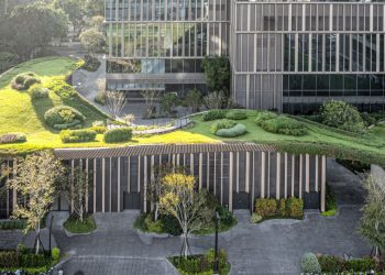 Verdant roof double -as Plaza Tops Taiwan Museum of Kengo Kuma