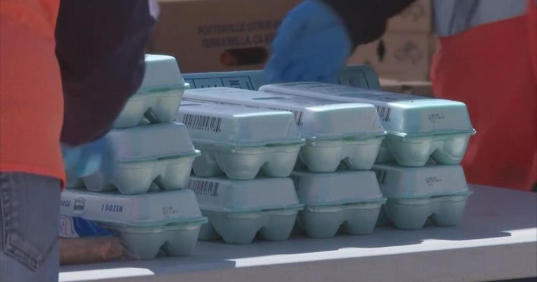App permits volunteers to select up and ship meals to individuals in want