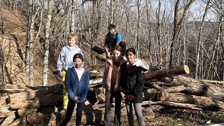 Charlotte, N.C. college students write youngsters’s e-book about tree well being | Helene information