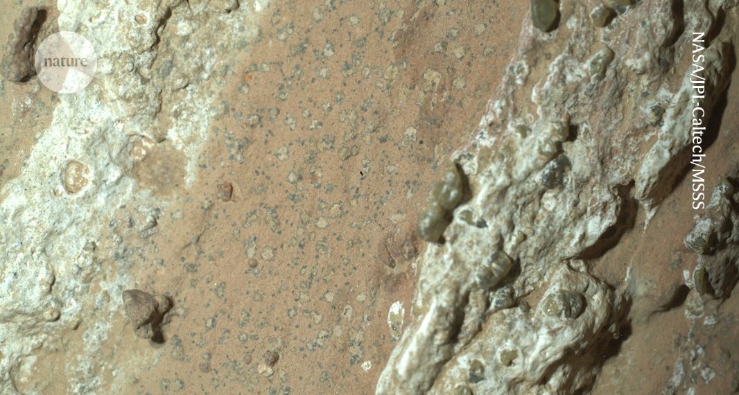 Did Mars harbour life? One of many strongest indicators but is noticed in a peculiar rock