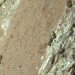 Did Mars harbour life? One of many strongest indicators but is noticed in a peculiar rock