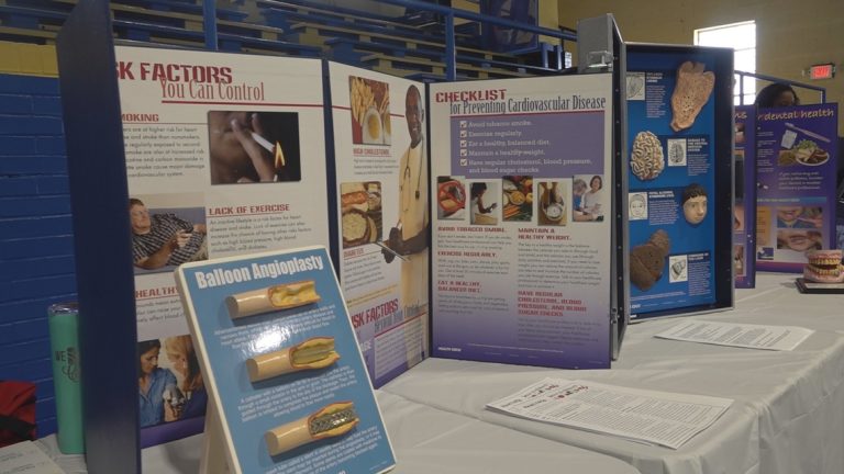 Fort Valley wellness expo targets Black well being disparities