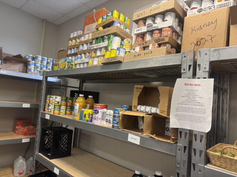 ‘The cabinets are empty:’ A capital metropolis meals pantry is working low on important objects