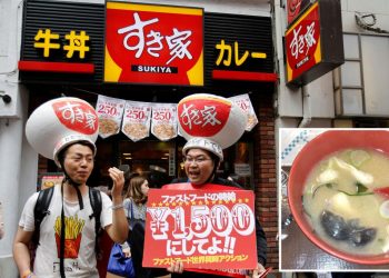 Japanese fast-food chain Sukiya quickly closes resulting from rat, bug contamination