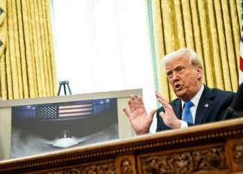 As Elon Musk cuts in Doge go away a vacuum that China can fill