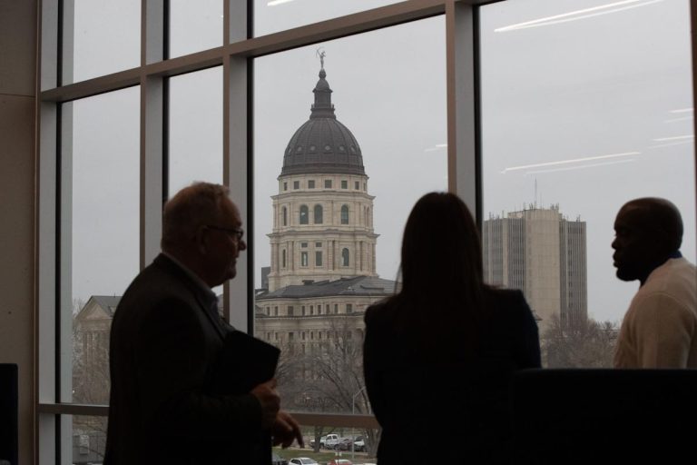 DOGE cuts well being funding to Kansas, claims $49M in financial savings from canceled grants