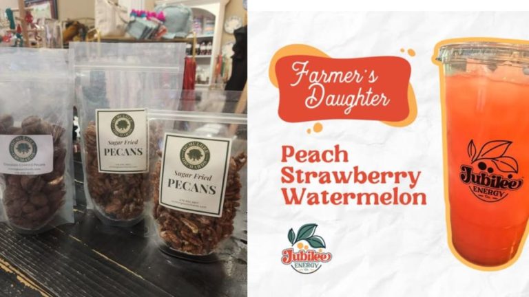 Central Georgia’s meals merchandise finalists in state meals competitors