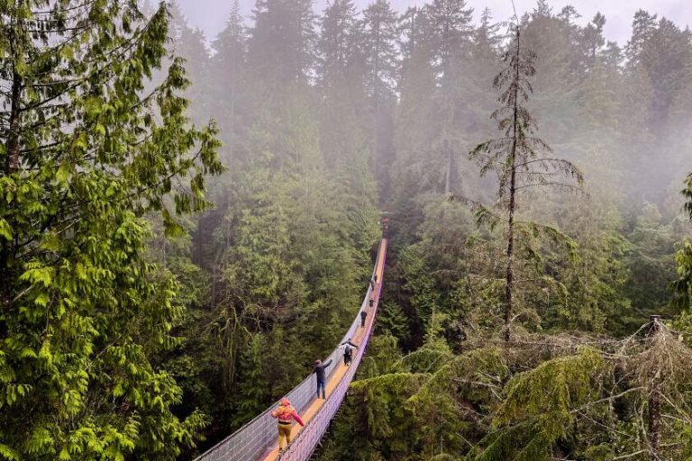 Will Trump’s tariffs have an effect on your journey plans to Mexico and Canada?