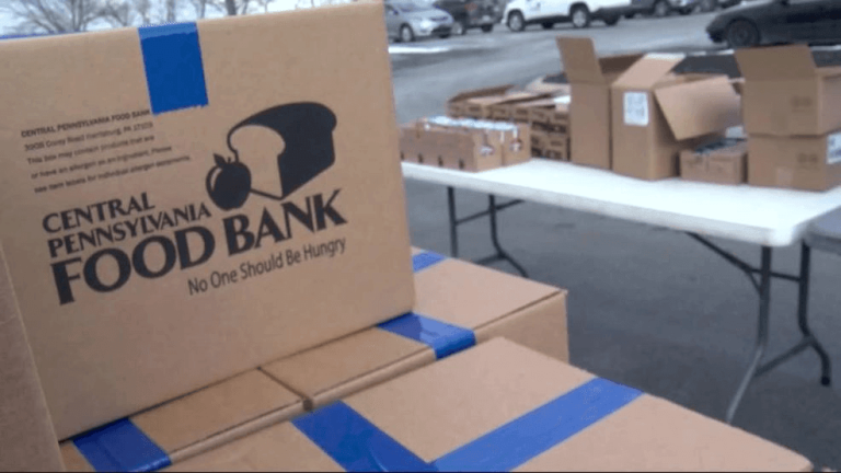 How federal cuts may impression faculty meal packages, native meals banks