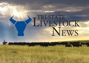 Rollins talks native college meals cuts, travels to Georgia