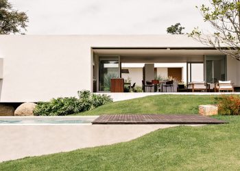 From the Felipe Hess courtyard sheeps within the central backyard of Brazil