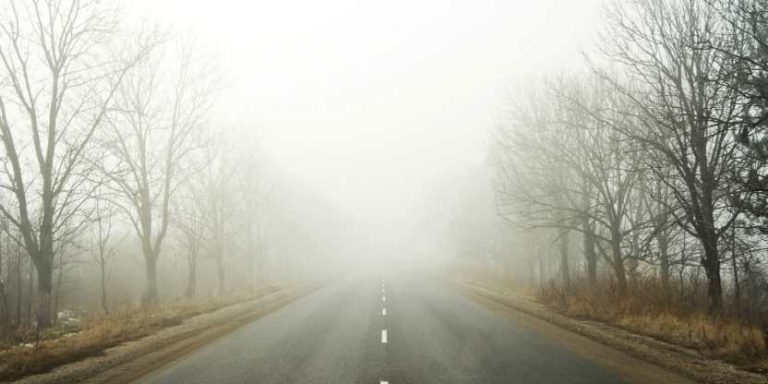 UK Climate: Met Workplace Points Yellow Fog Warning and Journey Disruptions