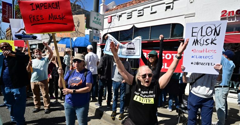 The “protesters” “Tesla” planning “the most important day of motion”