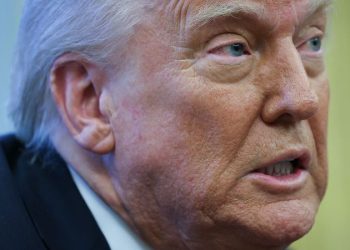 March 29, 2025: Donald Trump PresidentCy Information