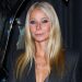 Gwyneth Paltrow is ‘very fascinated’ by MAHA motion