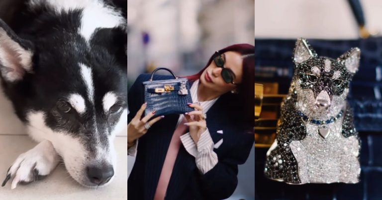 Paris Style Week: Coronary heart Evangelista flexes bag appeal impressed by her canine Panda