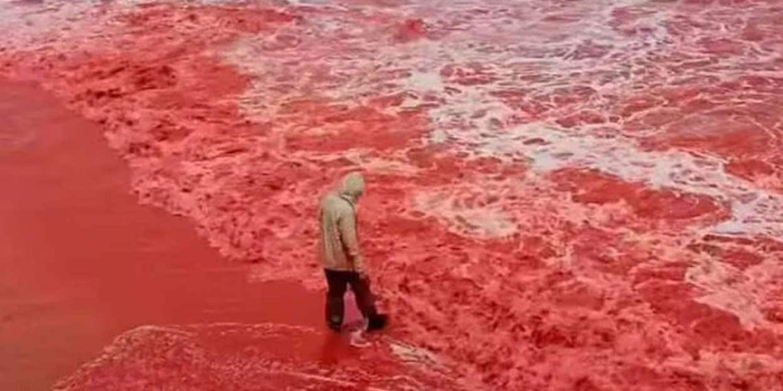 Why vacationers are awestruck by this blood-red seashore in Iran | Life-style Information