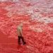 Why vacationers are awestruck by this blood-red seashore in Iran | Life-style Information