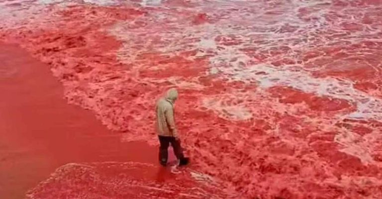 Why vacationers are awestruck by this blood-red seashore in Iran | Life-style Information