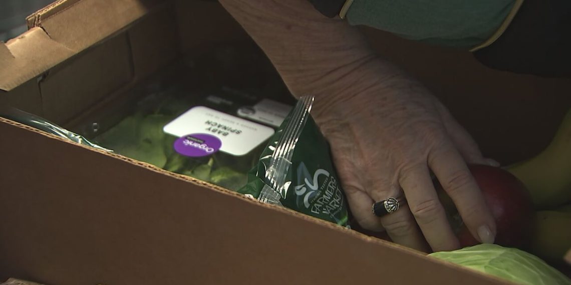 USDA program cuts deepening Charlotte meals insecurity, meals banks say – WSOC TV