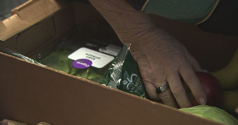 USDA program cuts deepening Charlotte meals insecurity, meals banks say – WSOC TV