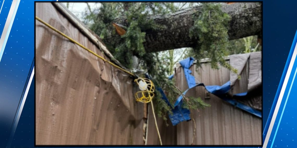 PHOTOS: Injury at Mill Creek meals financial institution – KIRO Seattle