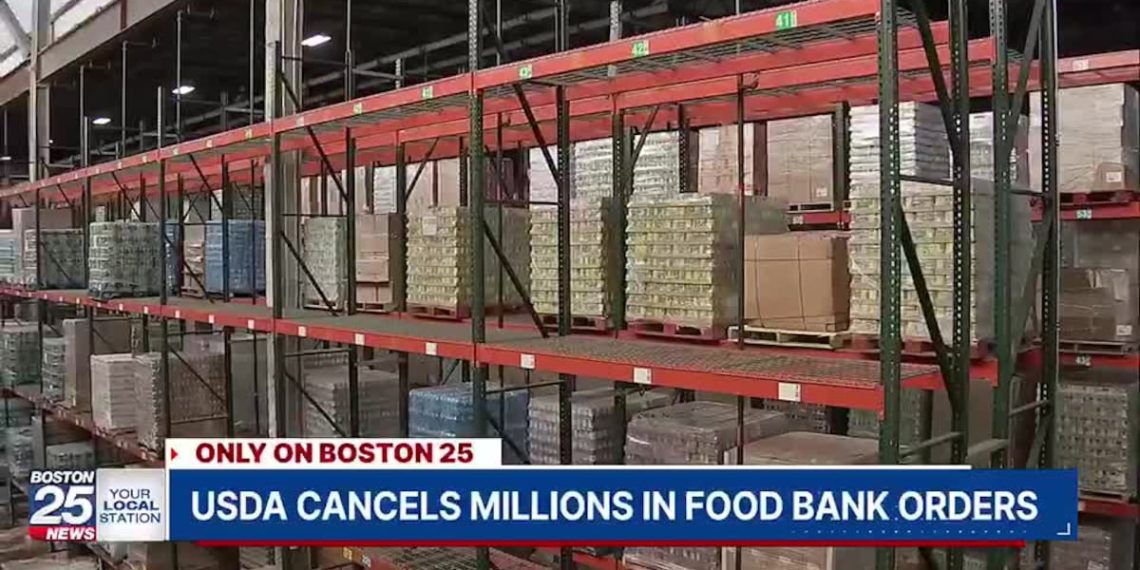 Massachusetts Meals Banks Face Devastating $three.three Million Lower – Boston 25 Information