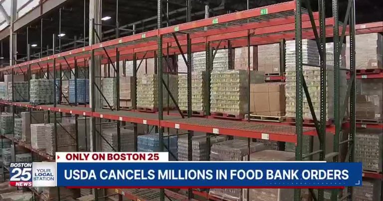 Massachusetts Meals Banks Face Devastating $three.three Million Lower – Boston 25 Information