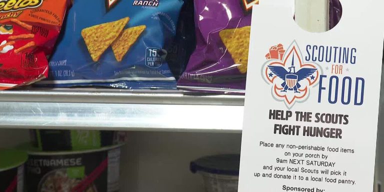 Assist native troops, meals pantries by way of ‘Scouting for Meals Drive’ Saturday – WMTV