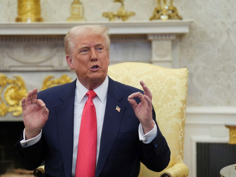 Donald Trump introduced 25 % tariffs for all automobiles made within the USA that weren’t carried out