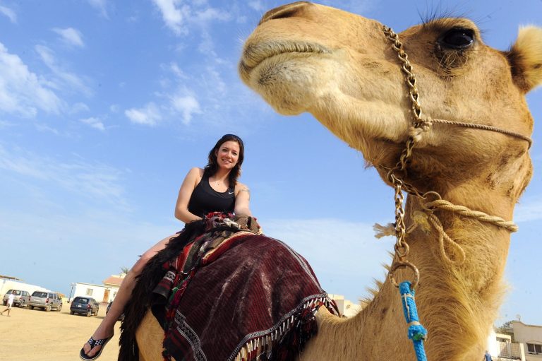 Is Iraq the Subsequent Large Journey Vacation spot? Uncover the Fantastic thing about Erbil, Baghdad, and Babylon Past the Headlines!